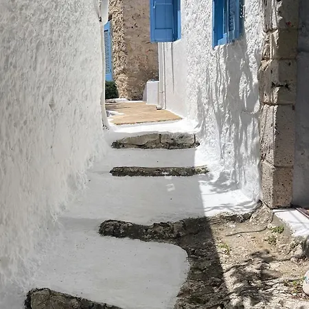 Xyloporta * Skinaria